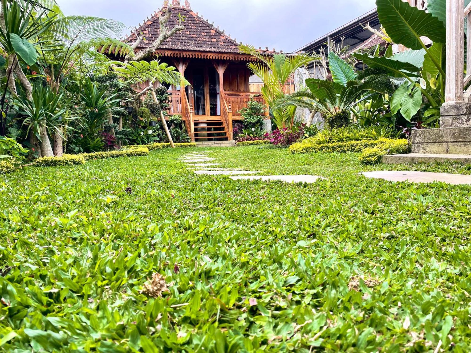 Jane'S House & Spa Bedugul Bali Patjung Εξωτερικό φωτογραφία